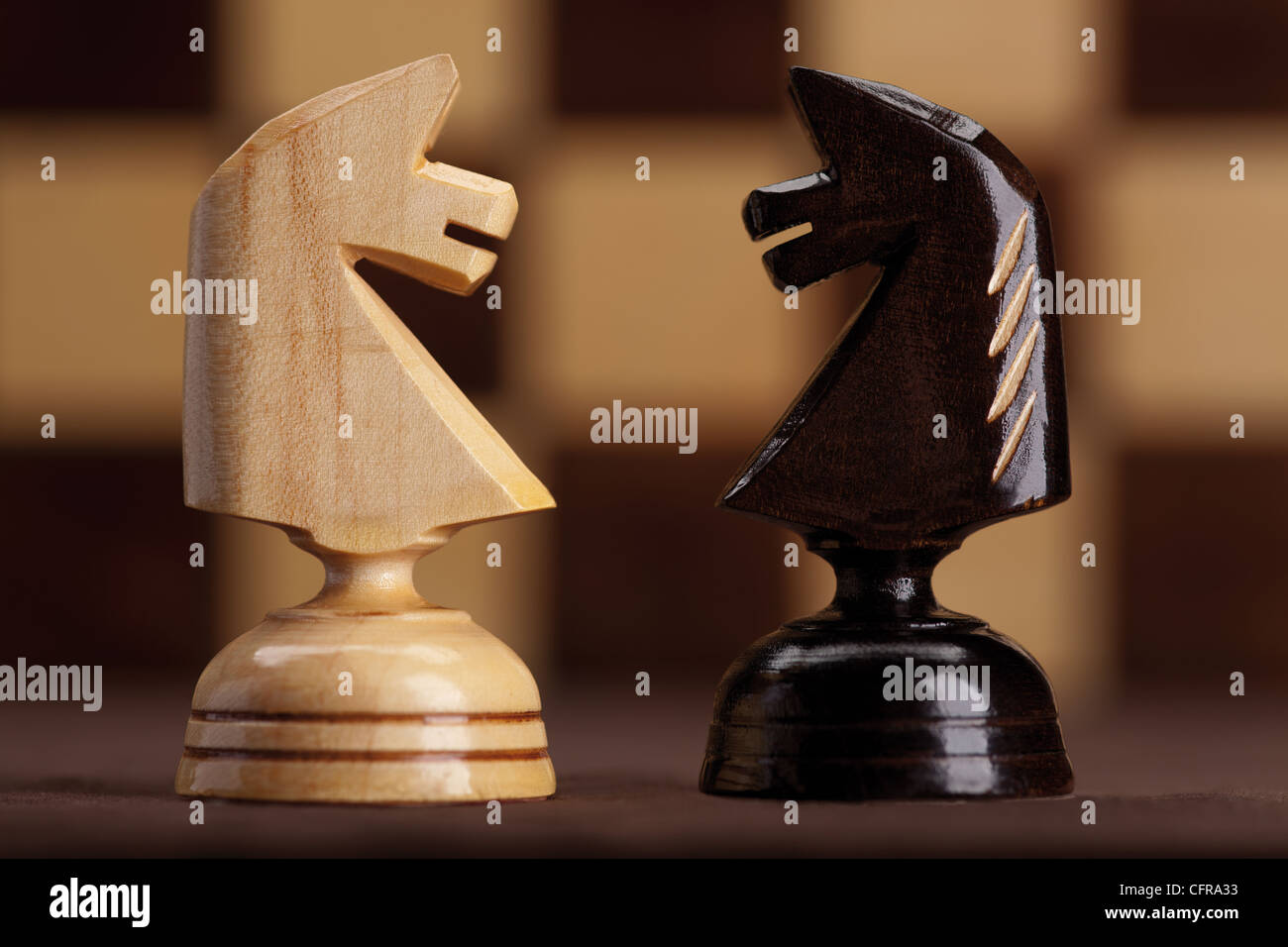 weiße und schwarze Ritter auf Schachbrett-Hintergrund Stockfoto