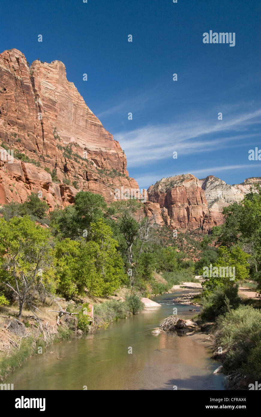 Der Virgin River, Zion Nationalpark, Utah, Vereinigte Staaten von Amerika, Nordamerika Stockfoto