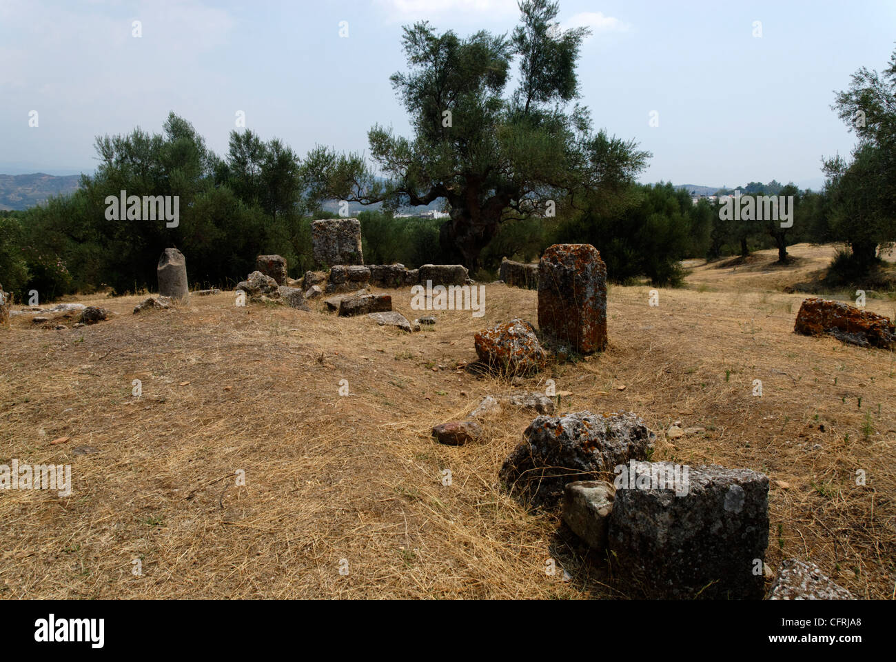 Sparta. Peloponnes. Griechenland. Blick auf die Ruinen und spärliche Reste die Akropolis der antiken Sparta. Stockfoto
