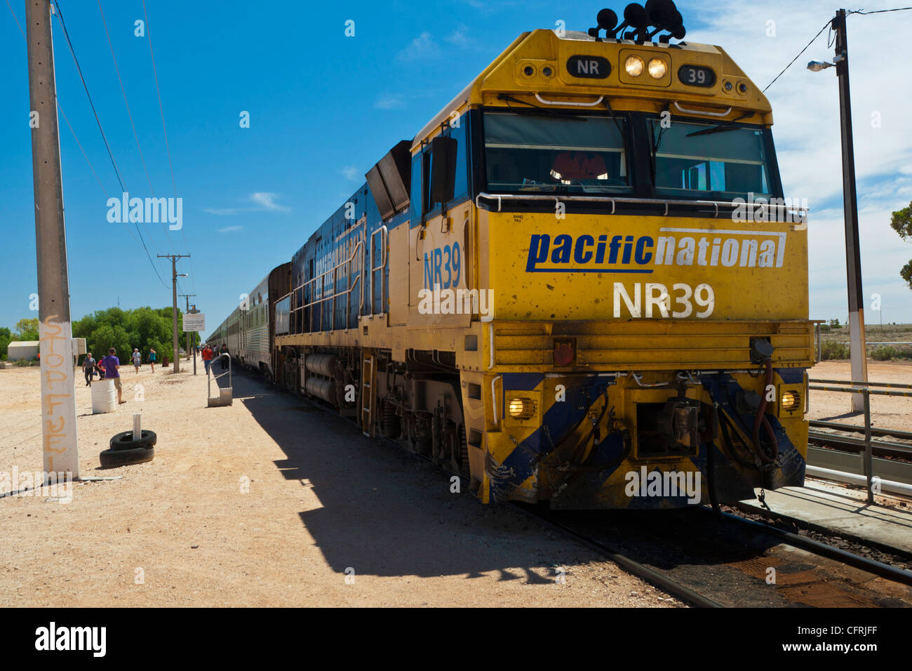 Indien-Pacific Zug hielt am Cook auf der Nullarber Ebene Stockfoto