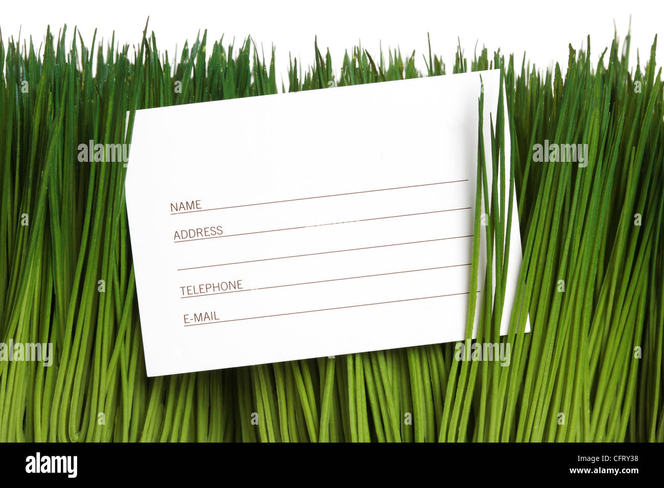 Adressbuch und grünen Rasen hautnah Stockfoto