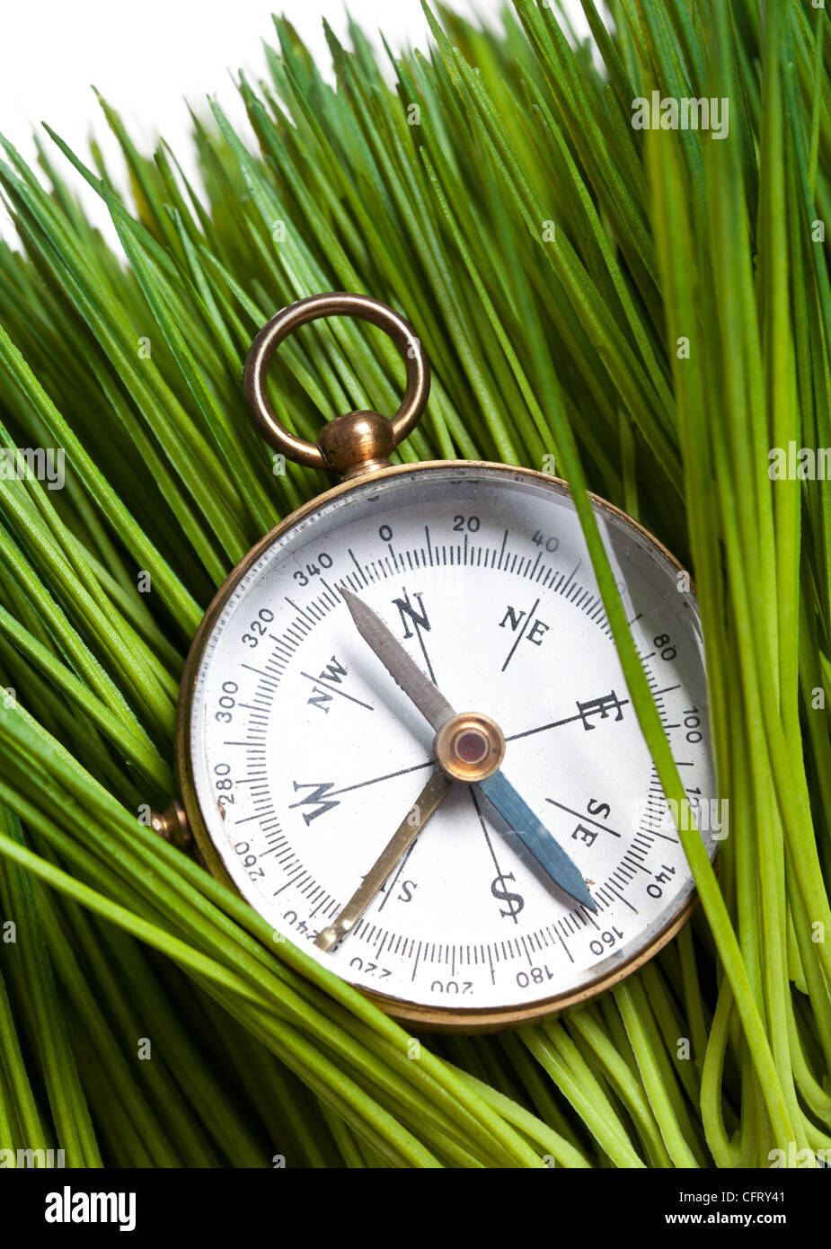 Kompass und Green Grass hautnah Stockfoto