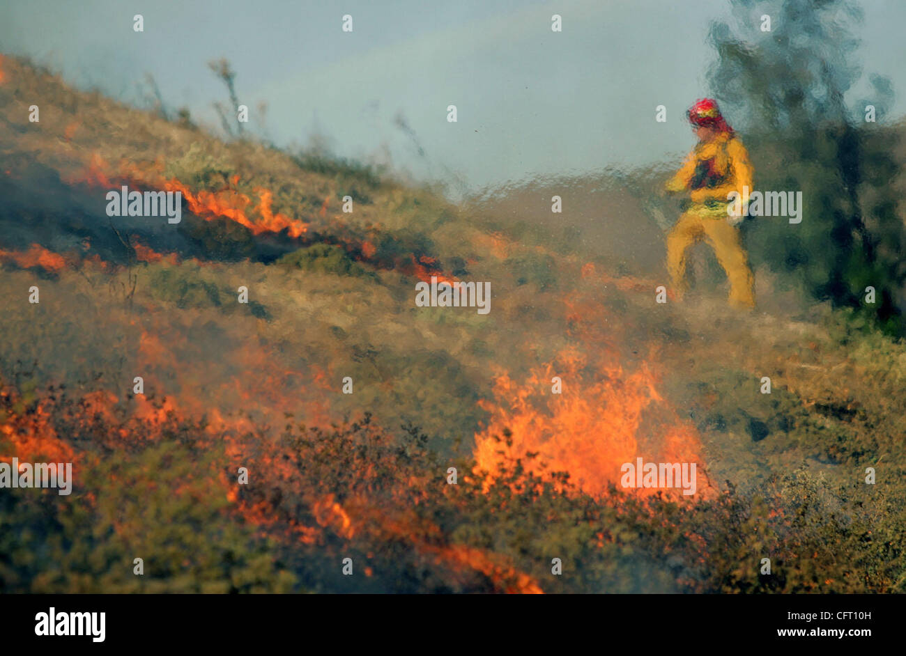 3. Dezember 2006; Moorpark, Kalifornien, USA; California Feuerwehrleute arbeiten an einem Pinsel Löscharbeiten, die durch ein Gebiet in der Nähe von Moorpark in Kalifornien zu fegen. Ein Buschfeuer, angetrieben von starken Winden zerstört fünf Häuser und bedroht Hunderte von anderen in die Schluchten und die Hügel rund um diese Southern California Stockfoto