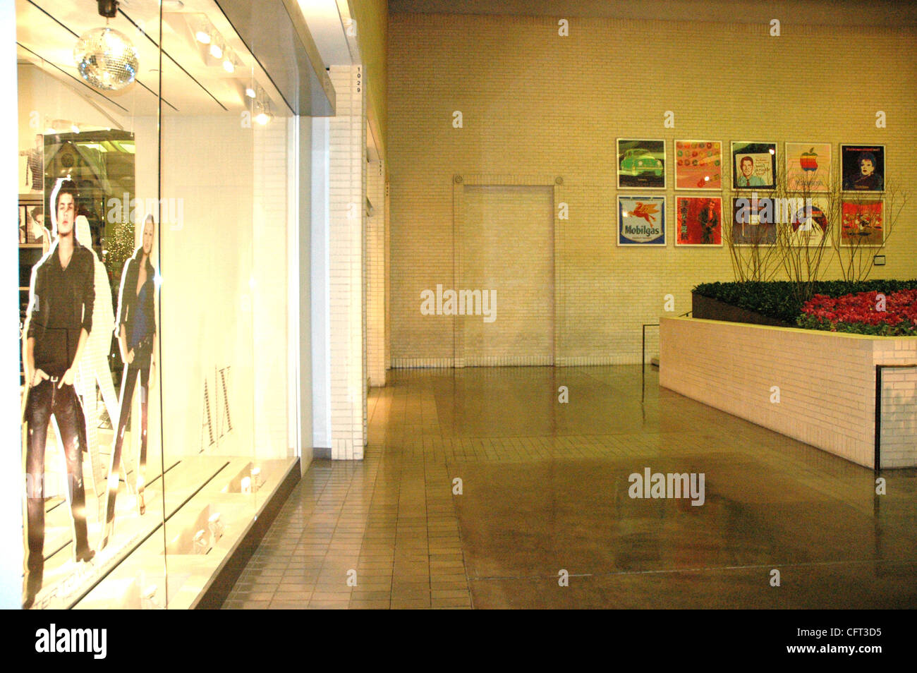 7. Dezember 2006; Dallas, TX, USA; Andy Warhol Kunst säumen die Wände Northpark Center in Dallas, Texas. Die feinen Shop FMZ Nasher in Familienbesitz ist eigentlich ein Kunstmuseum, das einige der größten modernen Skulpturen in der Welt beherbergt. Obligatorische Credit: Foto von David Teagle/ZUMA Press. ( Stockfoto