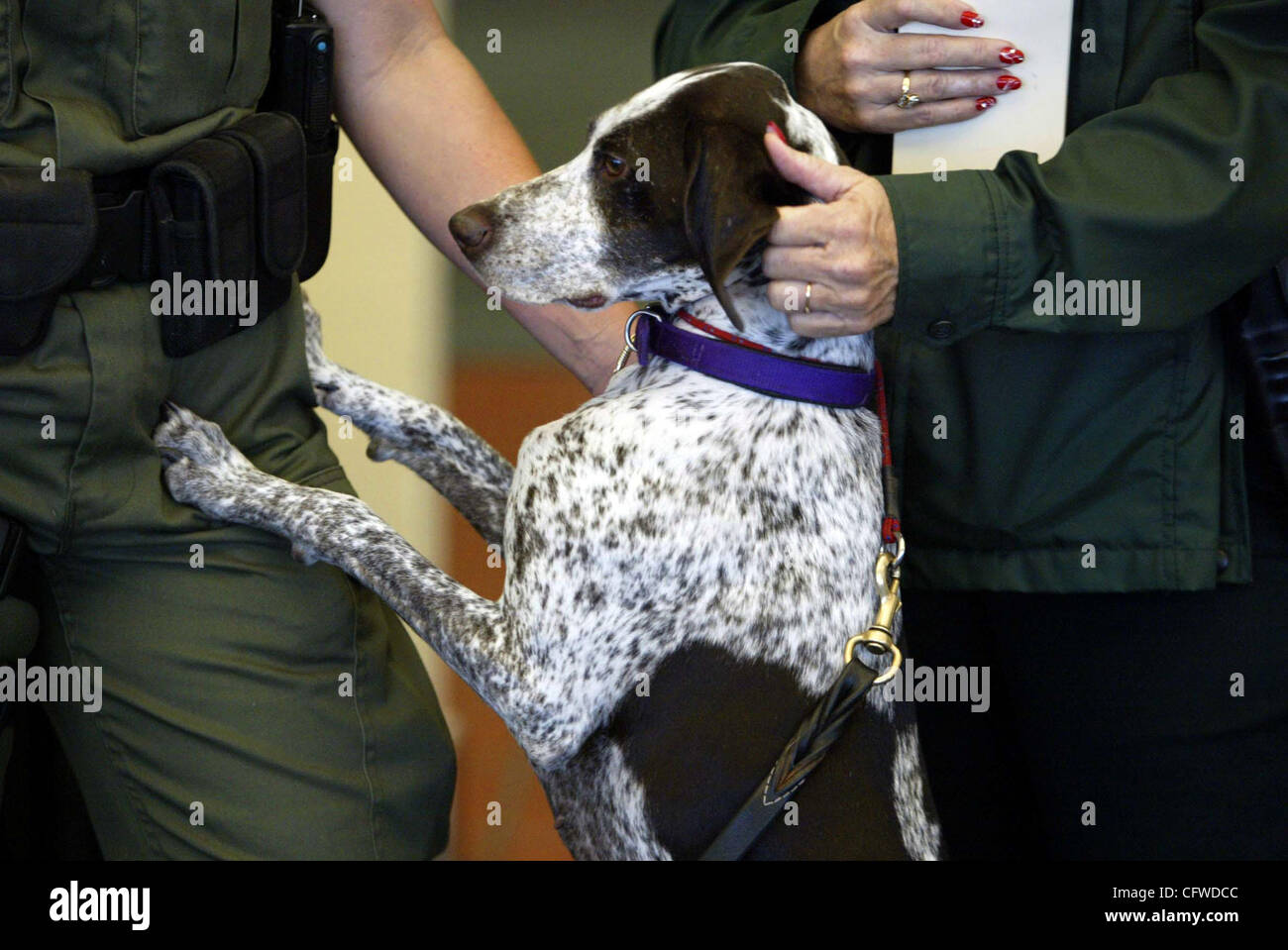 0034109A Personal Photo by Bruce R. Bennett/The Palm Beach Post für Rochelle Gilken Geschichte--West Palm Beach--The Palm Beach County Sheriff Office, die TSA und der Abteilung der Flughäfen angekündigt, die Umsetzung der TSA K-9-022207 met Flughafen teams heute in einer Pressekonferenz am Palm Beach Inte Stockfoto