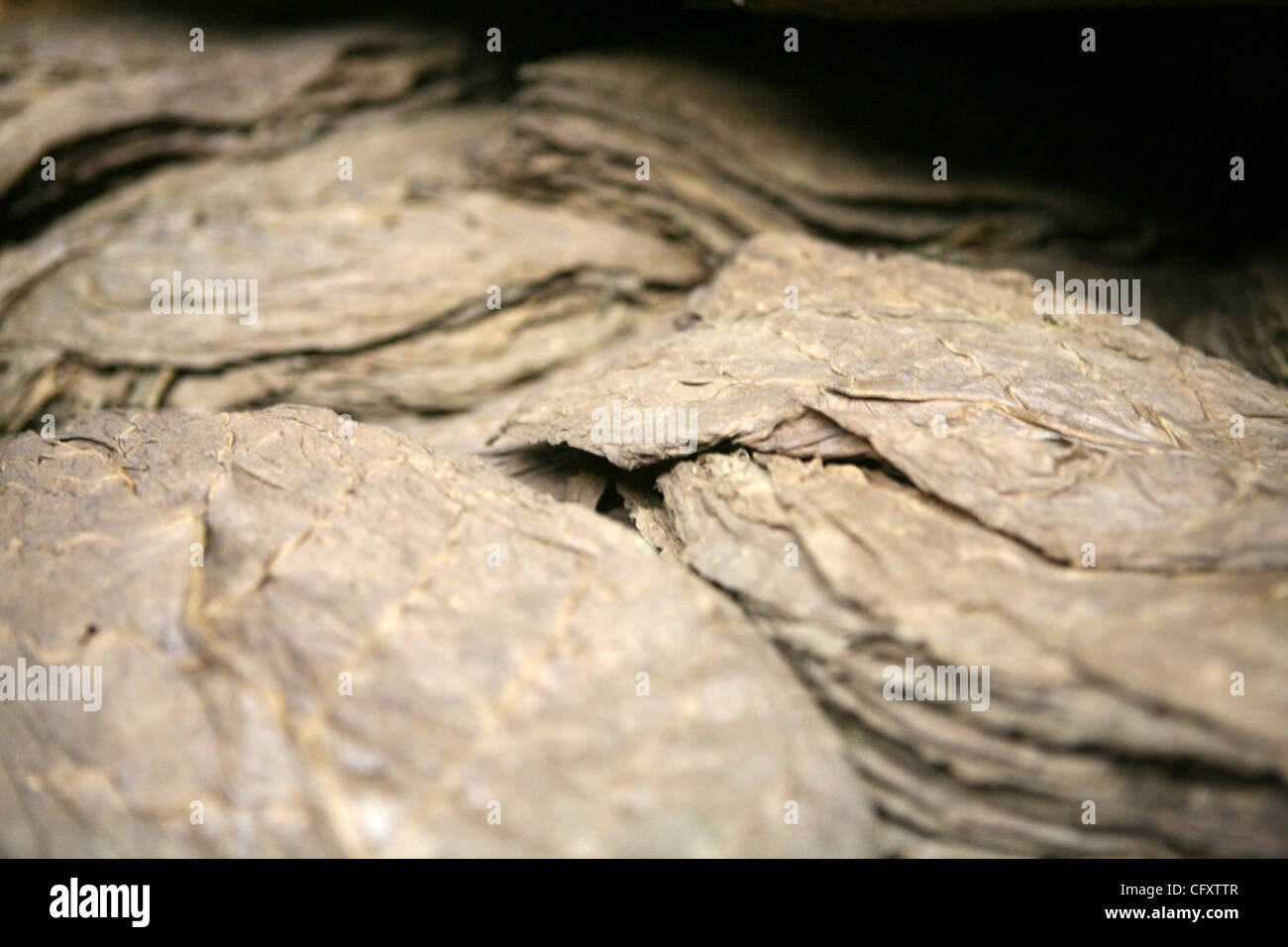 27. April 2007 - Esteli, Nicaragua - Esteli die zweitgrößte Stadt im Norden des Landes (nach Matagalpa), gelegen in der Gemeinde von Esteli in Esteli-Abteilung. Es liegt an der Panamericana 150 km nördlich von Managua. In dieser Region lebenden Menschen kommen in Esteli, Versorgungsmaterialien zu kaufen Stockfoto