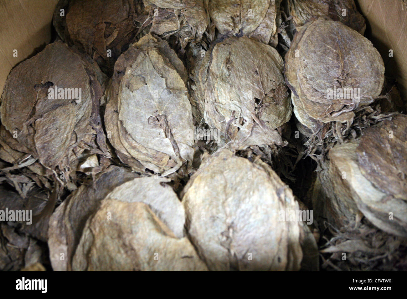 27. April 2007 - Esteli, Nicaragua - Esteli die zweitgrößte Stadt im Norden des Landes (nach Matagalpa), gelegen in der Gemeinde von Esteli in Esteli-Abteilung. Es liegt an der Panamericana 150 km nördlich von Managua. In dieser Region lebenden Menschen kommen in Esteli, Versorgungsmaterialien zu kaufen Stockfoto