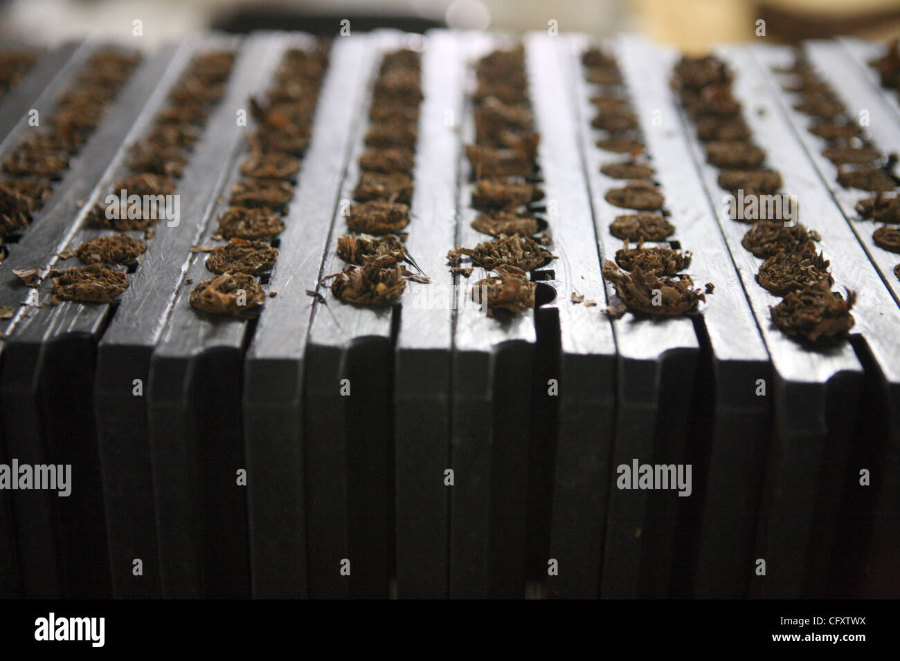 27. April 2007 - Esteli, Nicaragua - Esteli die zweitgrößte Stadt im Norden des Landes (nach Matagalpa), gelegen in der Gemeinde von Esteli in Esteli-Abteilung. Es liegt an der Panamericana 150 km nördlich von Managua. In dieser Region lebenden Menschen kommen in Esteli, Versorgungsmaterialien zu kaufen Stockfoto