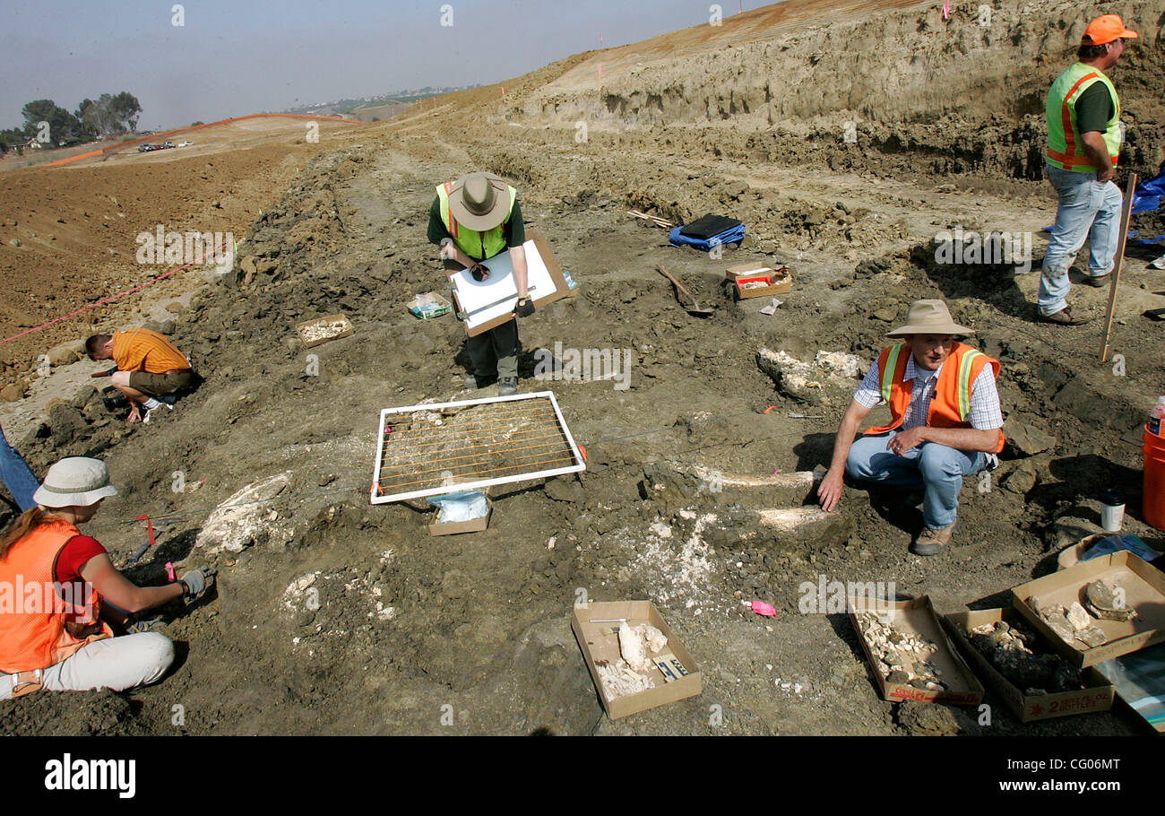 Donnerstag, 14. Juni 2007, spricht Carlsbad, Kalifornien, USA Tom Demere, Mitte-rechts, der Kurator für Paläontologie in San Diego Natural History Museum ist, in den Medien über eine amerikanische Mastodon sein Team ausgegraben auf einer Baustelle aus der Kanone-Straße und College-Boulevard in Karlsbad am di Stockfoto
