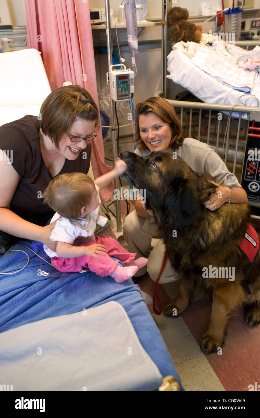 Fünfzehn Monate alten Emma Ford spielt mit Therapiehund "Artie" Childrens Hospital of Orange County in Mission Viejo, Kalifornien. Rechts ist des Hundes Besitzer und Trainer Chris Anderson. Artie und seinen "Bruder-Dog" Gus sind speziell geschult, um junge Patienten des Krankenhauses zu unterhalten. Beachten Sie die roten "Therapiehund" jac Stockfoto