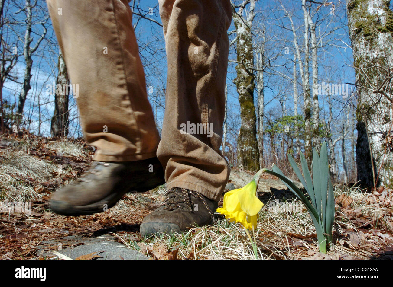 CLEVELAND, GA - März 17: Jon P. Dulude, 63, Spaziergänge entlang eines Abschnitts des Appalachian Trail in den Blue Ridge Mountains außerhalb von Cleveland, Georgia am Samstag, 17. März 2007. Dulude, ein begeisterter Wanderer, lebt in der Nähe der Appalachian Trail, und hilft, einen Teil der berühmten georgischen Maine Pfad beibehalten Stockfoto