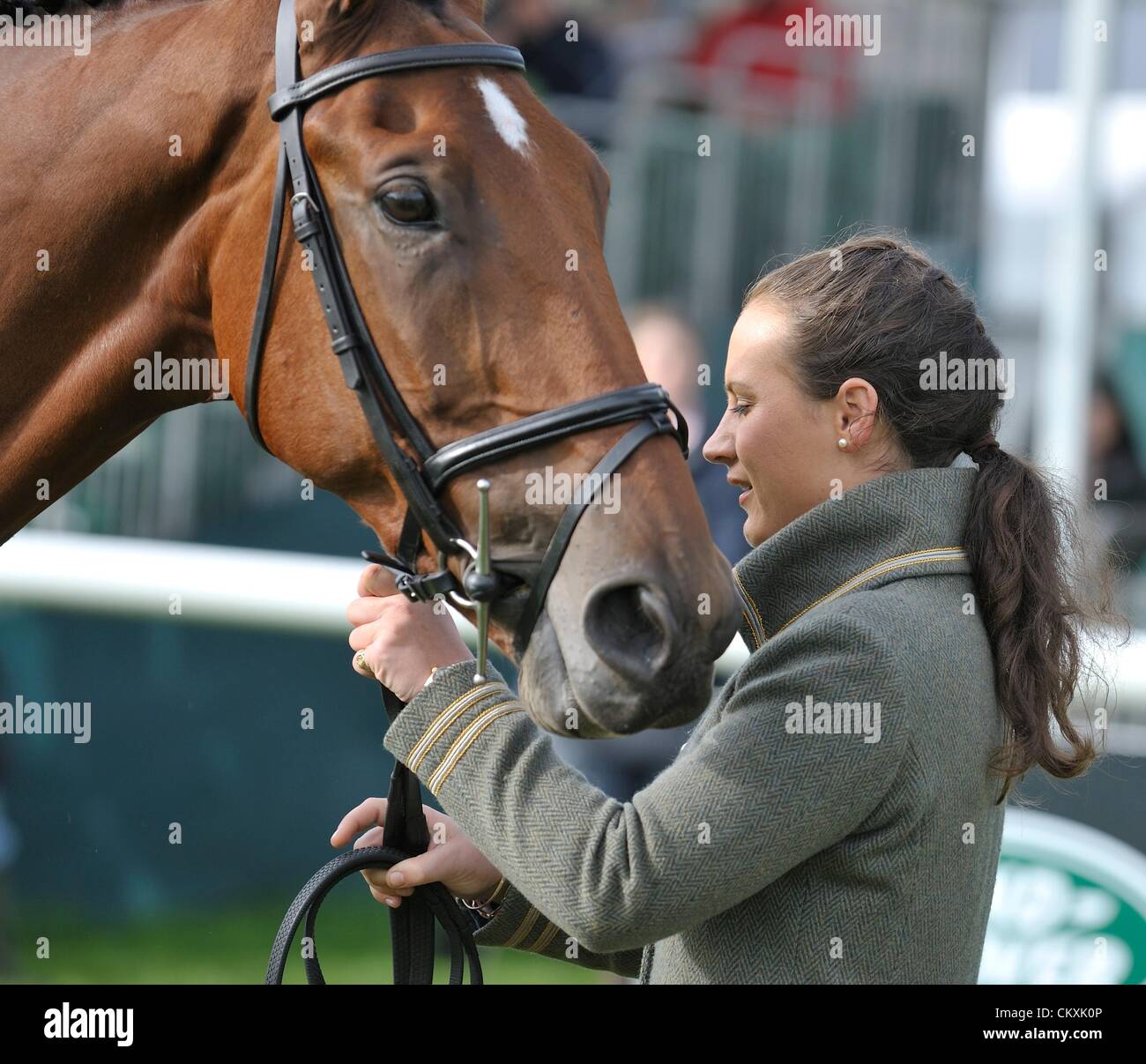 29.08.2012 Burghley House Stamford, England.    bei der ersten Pferd Nachprüfung bei Land Rover Burghley Horse Trials. Stockfoto