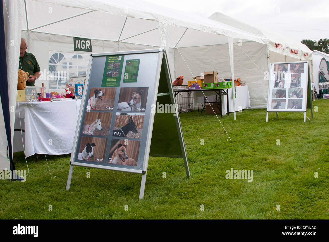 2. September 2012. Northants Greyhound Rescue Gala Day. Im Holiday Inn. Crick.  Northamptonshire UK. NGR wurde ist eine Wohltätigkeitsorganisation registriert und im Jahr 2000, im Ruhestand, verlassene und unerwünschte Windhunde im Bereich Northamptonshire eine Rettung, Rehabilitation und Notvermittlung Service anzubieten. Stockfoto