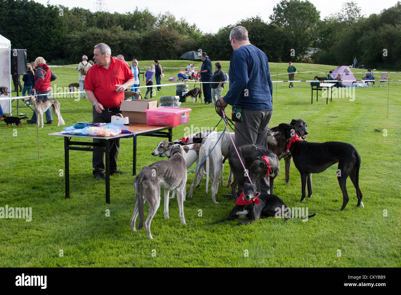 2. September 2012. Northants Greyhound Rescue Gala Day. Im Holiday Inn. Crick.  Northamptonshire UK. NGR wurde ist eine Wohltätigkeitsorganisation registriert und im Jahr 2000, im Ruhestand, verlassene und unerwünschte Windhunde im Bereich Northamptonshire eine Rettung, Rehabilitation und Notvermittlung Service anzubieten. Stockfoto
