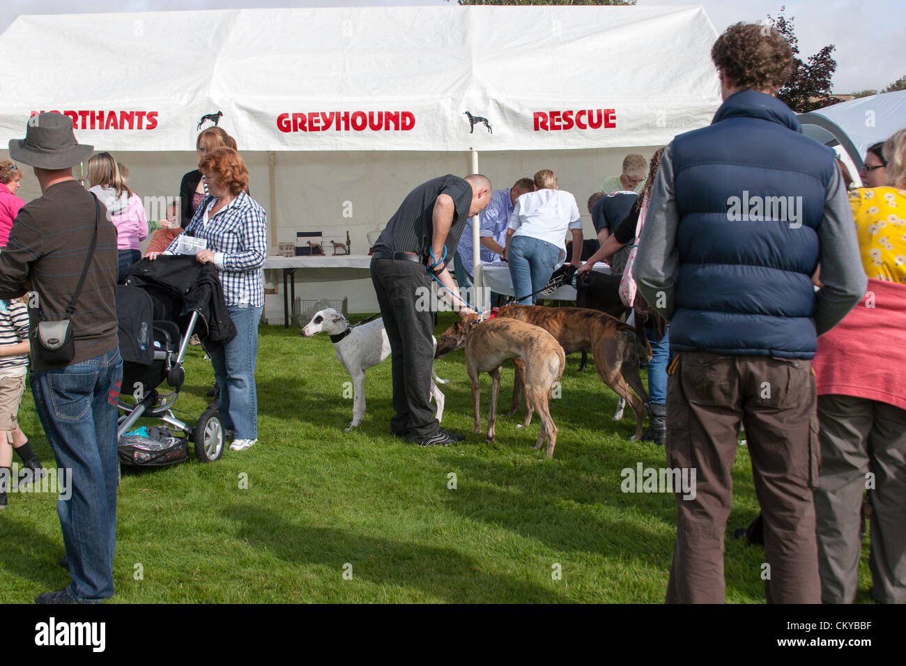 2. September 2012. Northants Greyhound Rescue Gala Day. Im Holiday Inn. Crick.  Northamptonshire UK. NGR wurde ist eine Wohltätigkeitsorganisation registriert und im Jahr 2000, im Ruhestand, verlassene und unerwünschte Windhunde im Bereich Northamptonshire eine Rettung, Rehabilitation und Notvermittlung Service anzubieten. Stockfoto