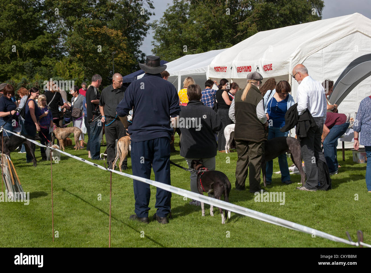 2. September 2012. Northants Greyhound Rescue Gala Day. Im Holiday Inn. Crick.  Northamptonshire UK. NGR wurde ist eine Wohltätigkeitsorganisation registriert und im Jahr 2000, im Ruhestand, verlassene und unerwünschte Windhunde im Bereich Northamptonshire eine Rettung, Rehabilitation und Notvermittlung Service anzubieten. Stockfoto