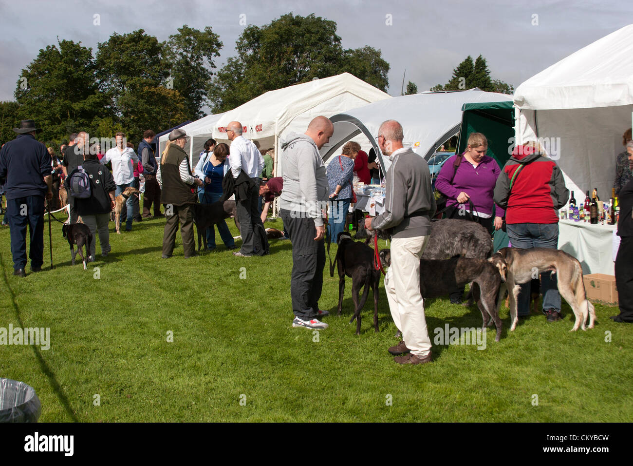 2. September 2012. Northants Greyhound Rescue Gala Day. Im Holiday Inn. Crick.  Northamptonshire UK. NGR wurde ist eine Wohltätigkeitsorganisation registriert und im Jahr 2000, im Ruhestand, verlassene und unerwünschte Windhunde im Bereich Northamptonshire eine Rettung, Rehabilitation und Notvermittlung Service anzubieten. Stockfoto