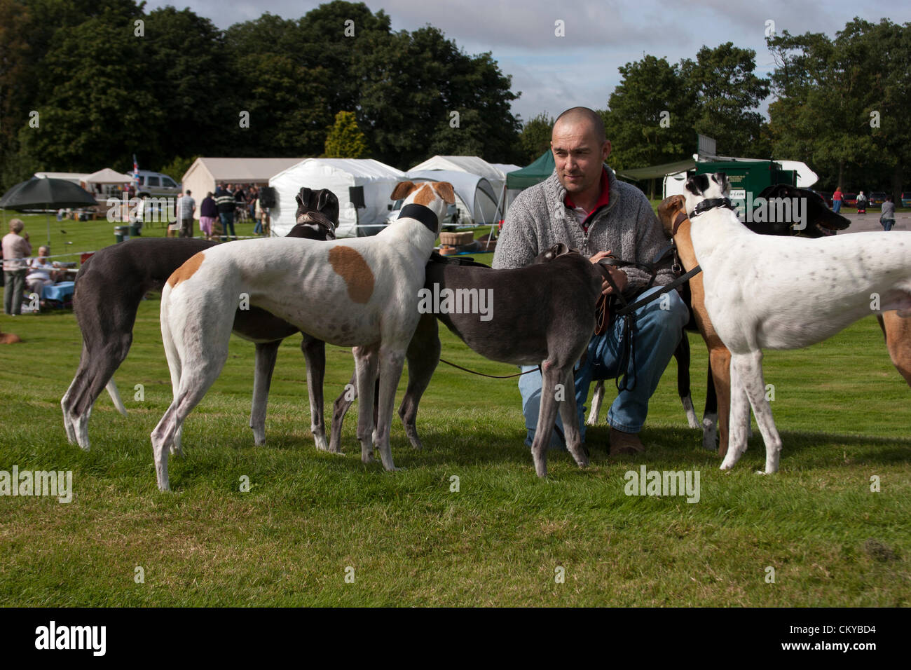 2. September 2012. Northants Greyhound Rescue Gala Day. Im Holiday Inn. Crick.  Northamptonshire UK. Eine Person, die Hunde zu halten, während die Besitzer ihre Hunde registrieren. NGR wurde ist eine Wohltätigkeitsorganisation registriert und im Jahr 2000, im Ruhestand, verlassene und unerwünschte Windhunde im Bereich Northamptonshire eine Rettung, Rehabilitation und Notvermittlung Service anzubieten. Stockfoto