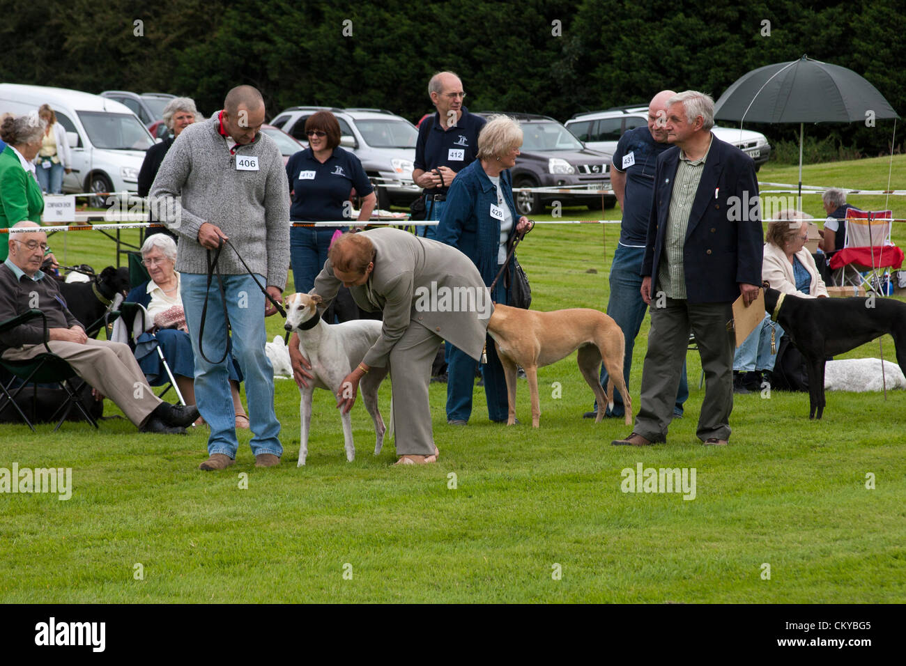 2. September 2012. Northants Greyhound Rescue Gala Day. Im Holiday Inn. Crick.  Northamptonshire UK. NGR wurde ist eine Wohltätigkeitsorganisation registriert und im Jahr 2000, im Ruhestand, verlassene und unerwünschte Windhunde im Bereich Northamptonshire eine Rettung, Rehabilitation und Notvermittlung Service anzubieten. Stockfoto