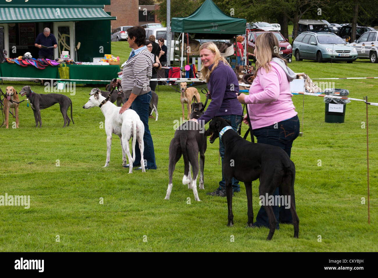 2. September 2012. Northants Greyhound Rescue Gala Day. Im Holiday Inn. Crick.  Northamptonshire UK. NGR wurde ist eine Wohltätigkeitsorganisation registriert und im Jahr 2000, im Ruhestand, verlassene und unerwünschte Windhunde im Bereich Northamptonshire eine Rettung, Rehabilitation und Notvermittlung Service anzubieten. Stockfoto