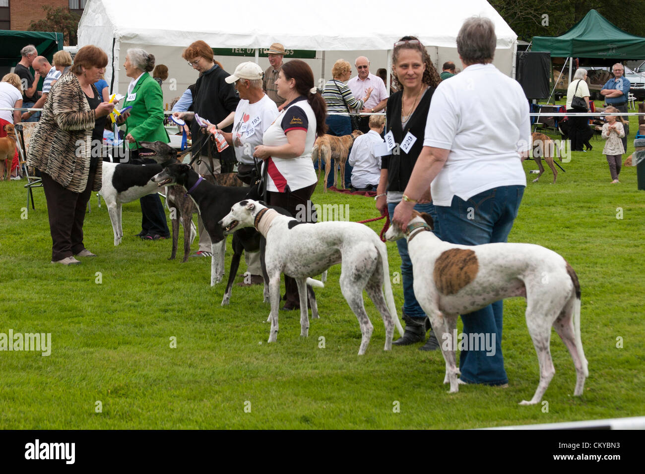 2. September 2012. Northants Greyhound Rescue Gala Day. Im Holiday Inn. Crick.  Northamptonshire UK. NGR wurde ist eine Wohltätigkeitsorganisation registriert und im Jahr 2000, im Ruhestand, verlassene und unerwünschte Windhunde im Bereich Northamptonshire eine Rettung, Rehabilitation und Notvermittlung Service anzubieten. Stockfoto