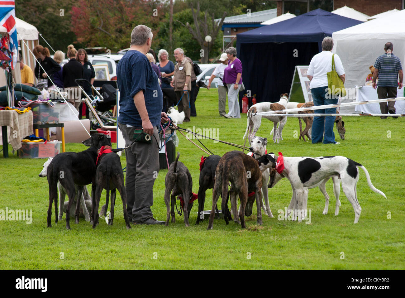 2. September 2012. Northants Greyhound Rescue Gala Day. Im Holiday Inn. Crick.  Northamptonshire UK. NGR wurde ist eine Wohltätigkeitsorganisation registriert und im Jahr 2000, im Ruhestand, verlassene und unerwünschte Windhunde im Bereich Northamptonshire eine Rettung, Rehabilitation und Notvermittlung Service anzubieten. Stockfoto