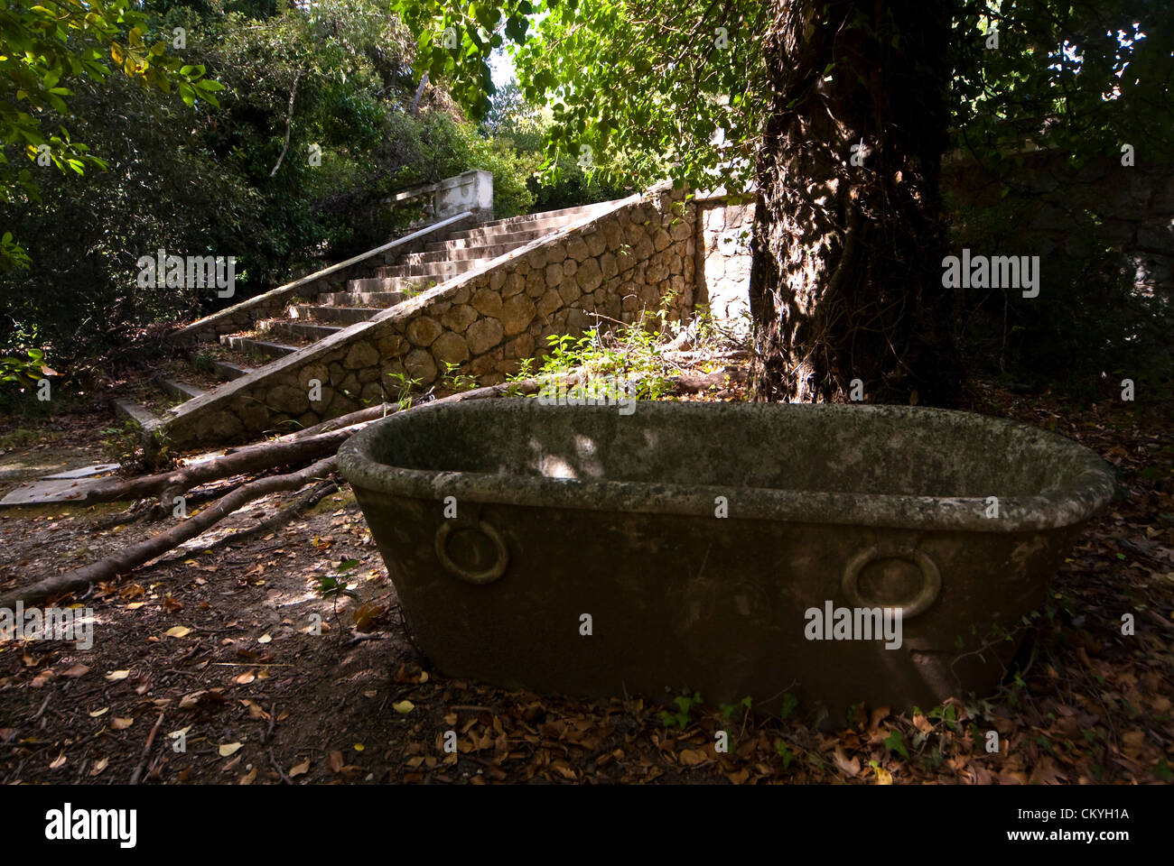 Tatoi: Park in Tatoi - Tatoi ursprünglich war die Sommerresidenz der griechischen Königsfamilie das schließlich als ganzjährig zuhause genutzt wurde und der Geburtsort von König George II. Das Anwesen liegt ca. 20 km nördlich von Athen in der Nähe von Dekeleia. Ca. 1km vom wichtigsten Residency ist der griechischen königlichen Friedhof. Das Anwesen gehört auch die königliche Höfe. Fotos aus dem Jahr 2008. 3. September 2012. Athen, Griechenland. Die griechische Regierung in dieser Woche angekündigt, dass die ehemaligen königlichen Anwesen Tatoi war gesetzt werden für Verkauf oder Vermietung von der Privatisierung Staatsfonds (TAIPED). Stockfoto
