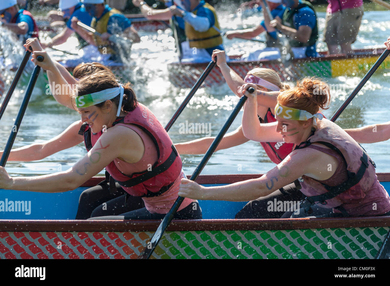 CAmbridge, UK. 8. September 2012. Konkurrenten genießen das Spätsommer-Wetter Cambridge Dragon Boat Festival, auf dem Fluss Cam Fen Ditton Cambridge UK, 8. September 2012.  Rund 50 Teams aus lokalen Organisationen nahmen Teil an den Rennen der 30 Fuß langen chinesischen Drachenbooten um Geld für die East Anglian Kinder Hospize paddeln. Bildnachweis: Julian Eales / Alamy Live News Stockfoto