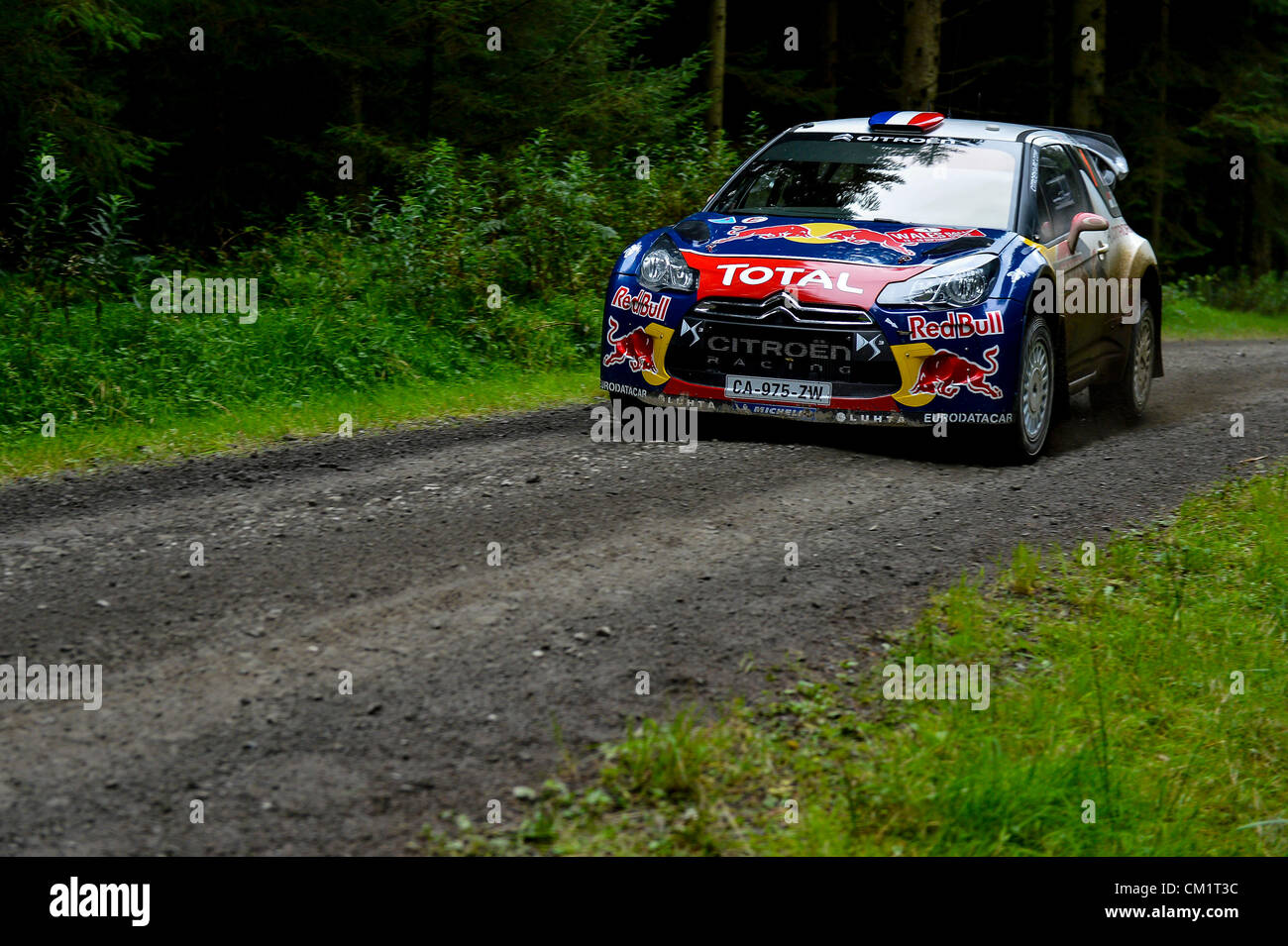 15.09.2012 Powys, Wales. Sebastien Loeb (FRA) und Beifahrer Daniel Elena (MCO) in der #1 Citroen Total WRT Citroen DS3 WRC in Aktion auf dem zweiten Durchlauf der Crychan Bühne (SS10) Tag 2 der Wales-Rallye Großbritannien, Runde 10 der Rallye-WM FIA. Stockfoto