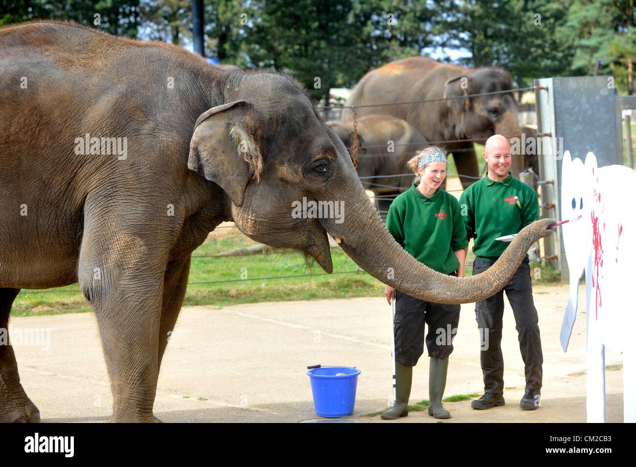 Download Picasso Tiere Elefant Pics