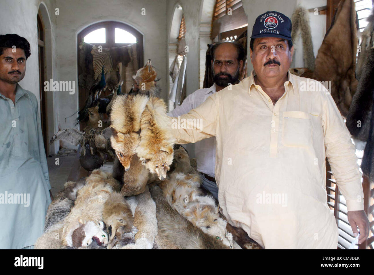 Sindh Wildlife Department Beamten zeigen beschlagnahmt erhaltenen Tier, das nach einem Überfall im Ruby Center, während einer Pressekonferenz in Karachi auf Dienstag, 25. September 2012 wiederhergestellt. Stockfoto