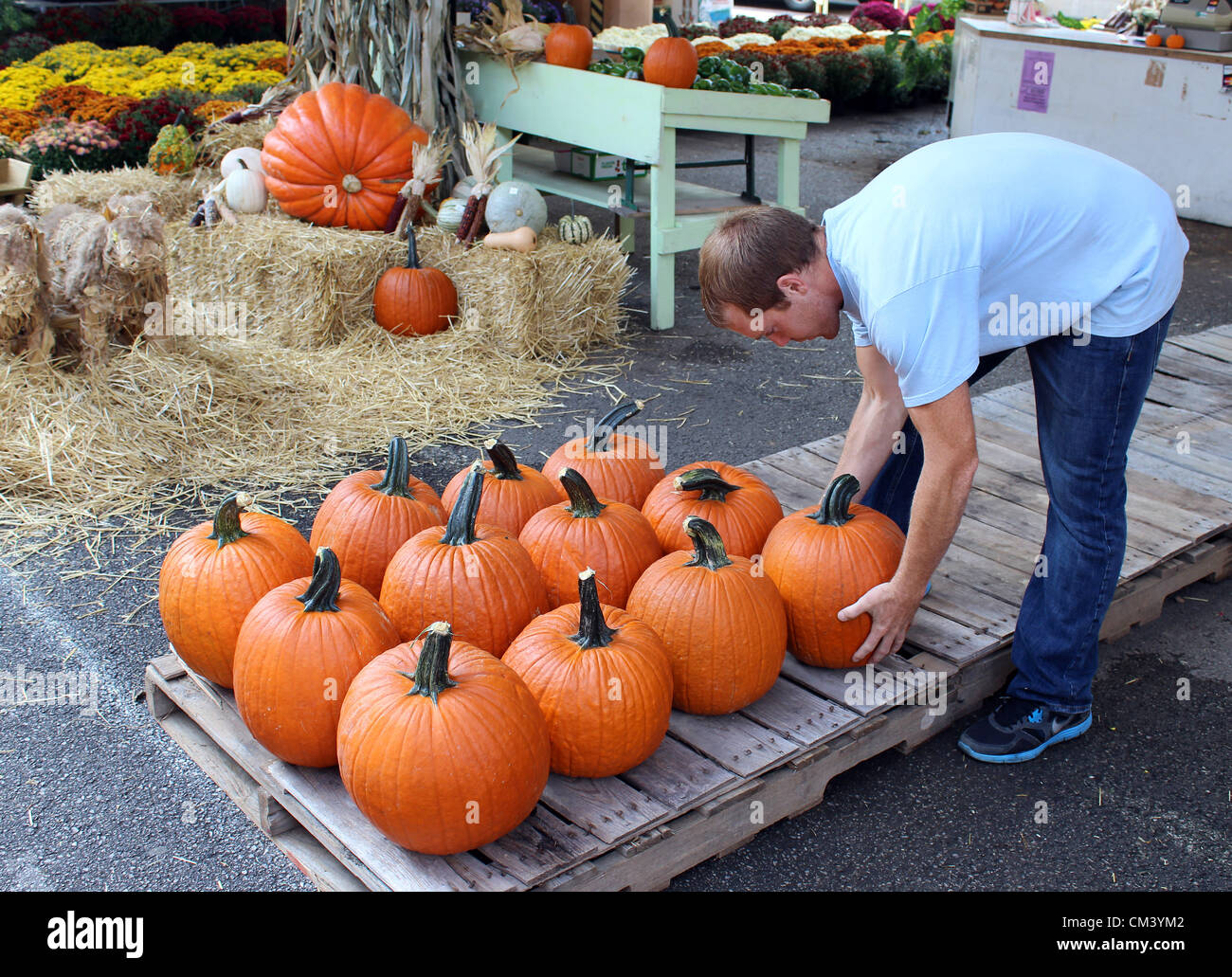 Kürbis-Vorbereitungen für Halloween auf dem Capitol Markt im freien Bauernmarkt in Charleston, West Virginia, USA. 28.09.2012 Bild: DMS Stockfoto