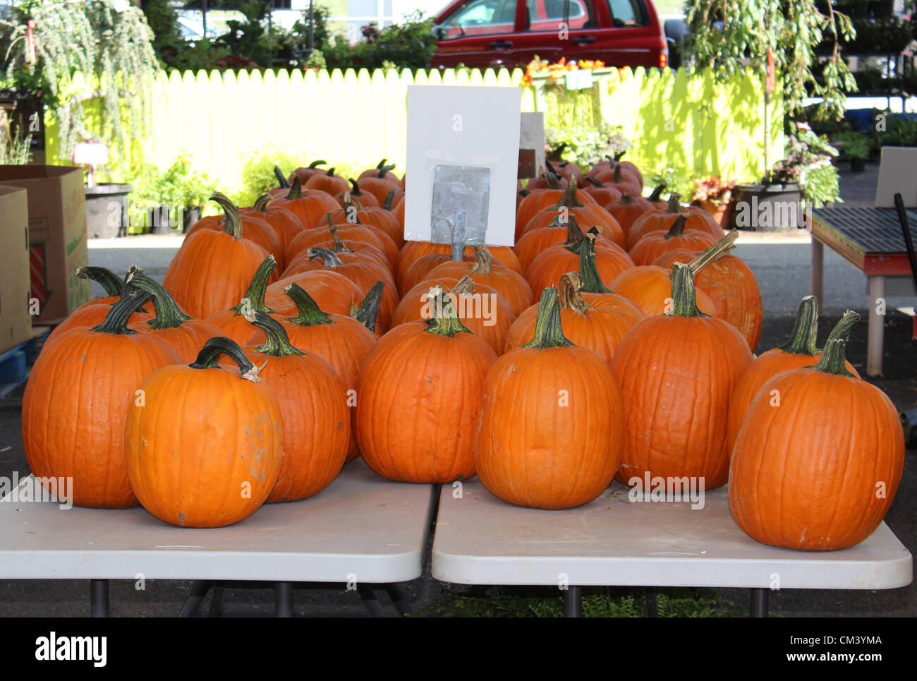 Kürbis-Vorbereitungen für Halloween auf dem Capitol Markt im freien Bauernmarkt in Charleston, West Virginia, USA. 28.09.2012 Bild: DMS Stockfoto