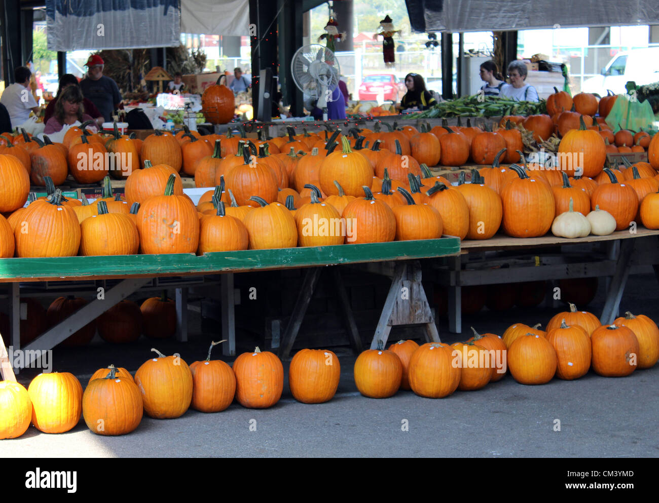 Kürbis-Vorbereitungen für Halloween auf dem Capitol Markt im freien Bauernmarkt in Charleston, West Virginia, USA. 28.09.2012 Bild: DMS Stockfoto