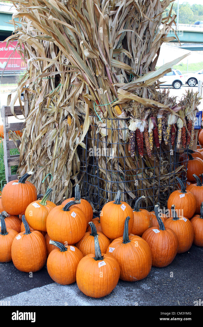 Kürbis-Vorbereitungen für Halloween auf dem Capitol Markt im freien Bauernmarkt in Charleston, West Virginia, USA. 28.09.2012 Bild: DMS Stockfoto