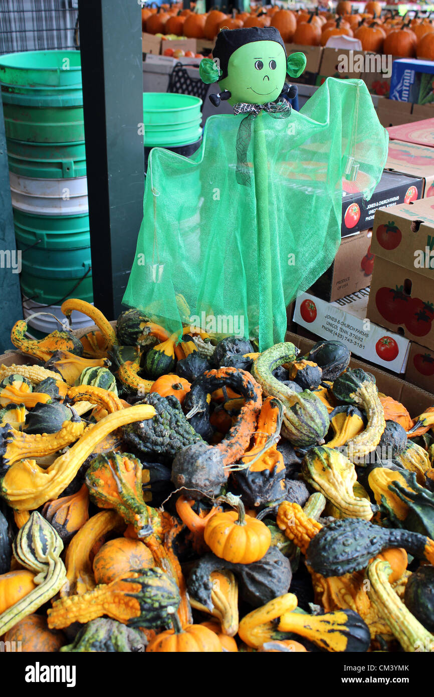 Kürbis-Vorbereitungen für Halloween auf dem Capitol Markt im freien Bauernmarkt in Charleston, West Virginia, USA. 28.09.2012 Bild: DMS Stockfoto