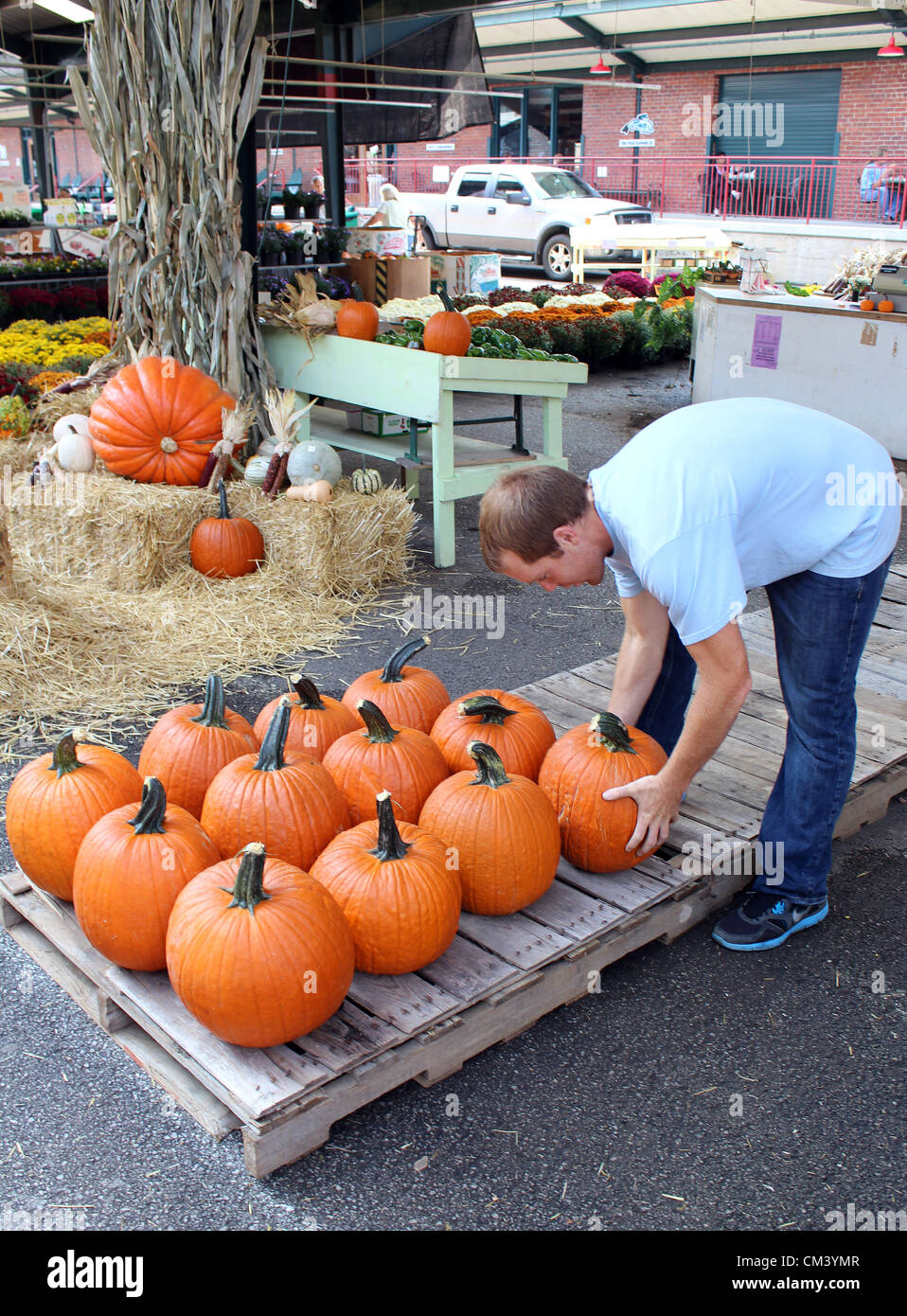 Kürbis-Vorbereitungen für Halloween auf dem Capitol Markt im freien Bauernmarkt in Charleston, West Virginia, USA. 28.09.2012 Bild: DMS Stockfoto