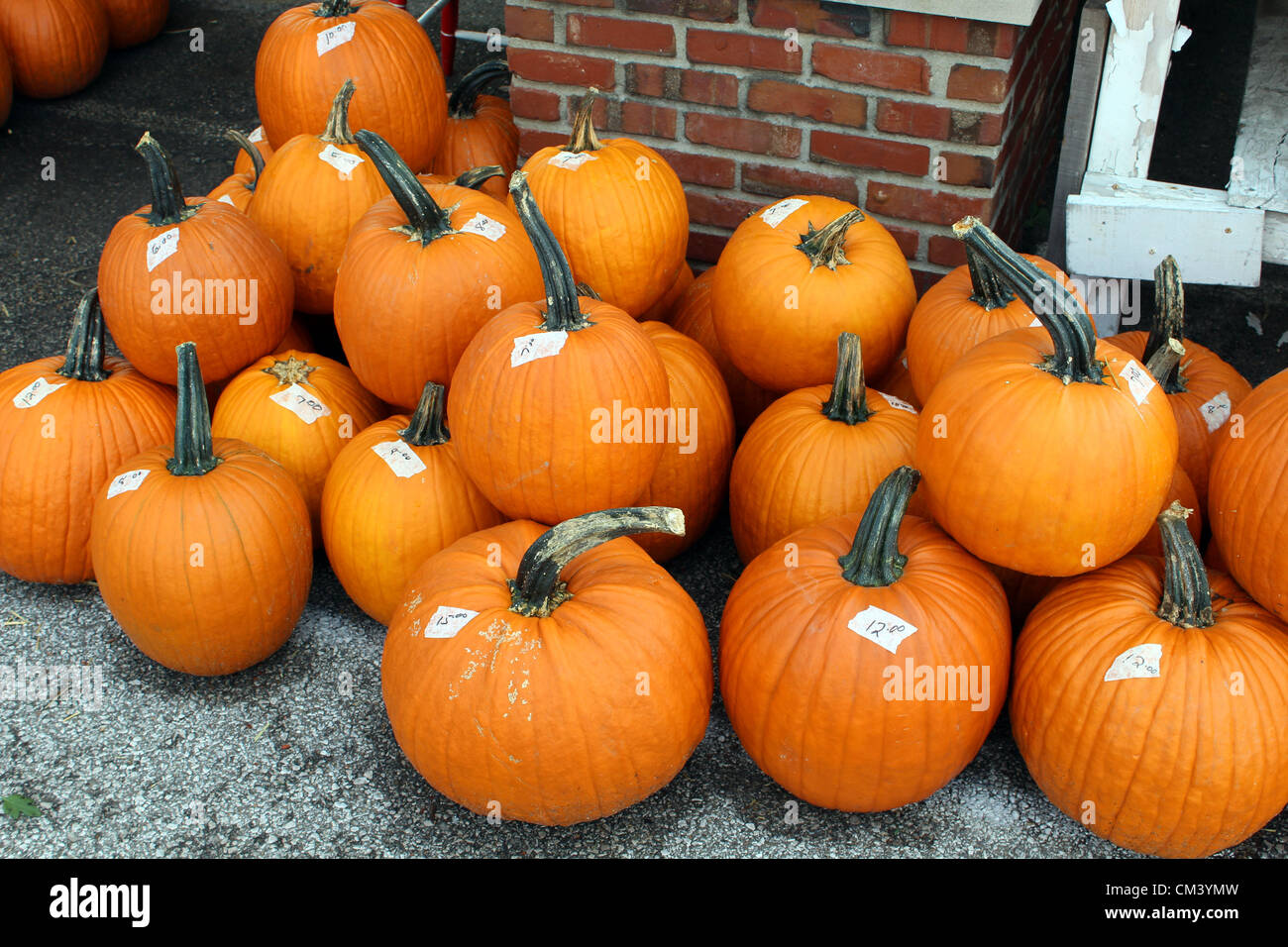 Kürbis-Vorbereitungen für Halloween auf dem Capitol Markt im freien Bauernmarkt in Charleston, West Virginia, USA. 28.09.2012 Bild: DMS Stockfoto