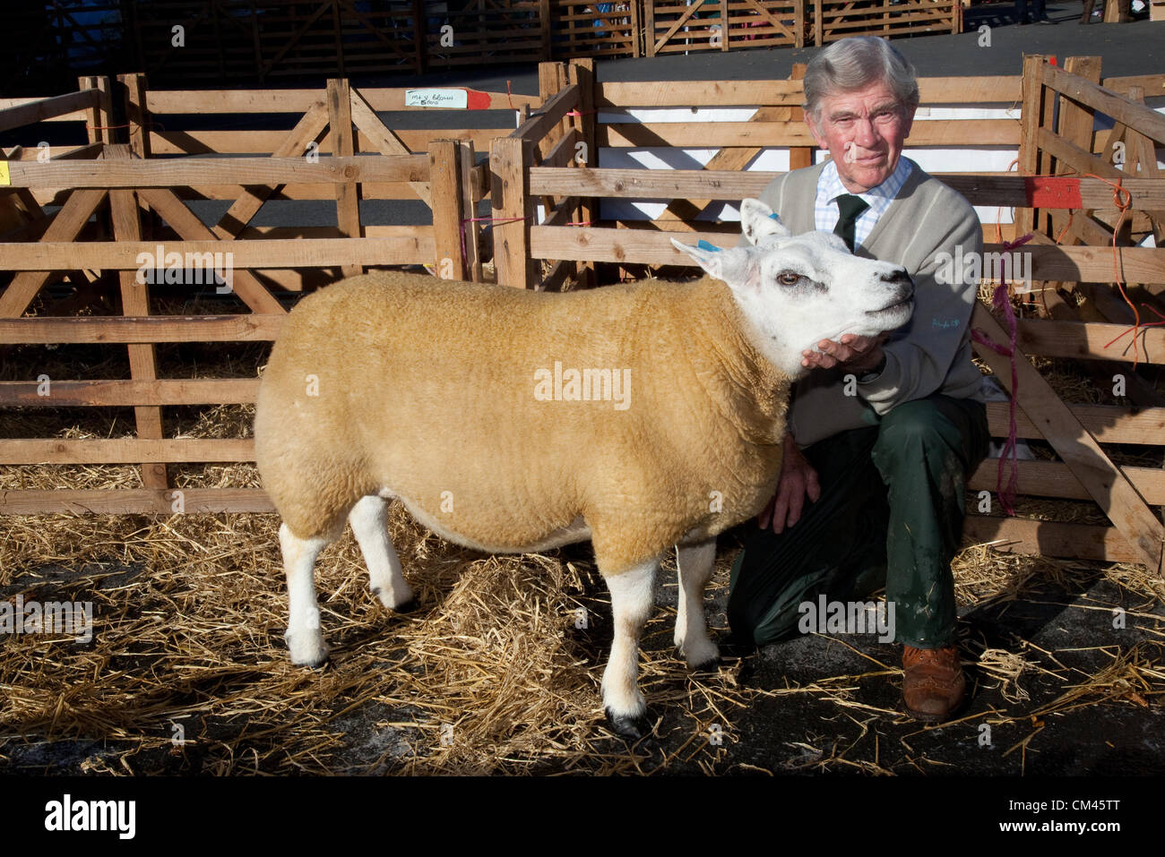 Robert Newby, 80years alt, mit seiner Meisterschaft Texel Ewe an der jährlichen Beurteilung der Schafe und Messe, ein Charity-Event am 29. & 30. September 2012 in Masham Marktplatz in der Nähe von Ripon in North Yorkshire Dales statt. VEREINIGTES KÖNIGREICH. Stockfoto