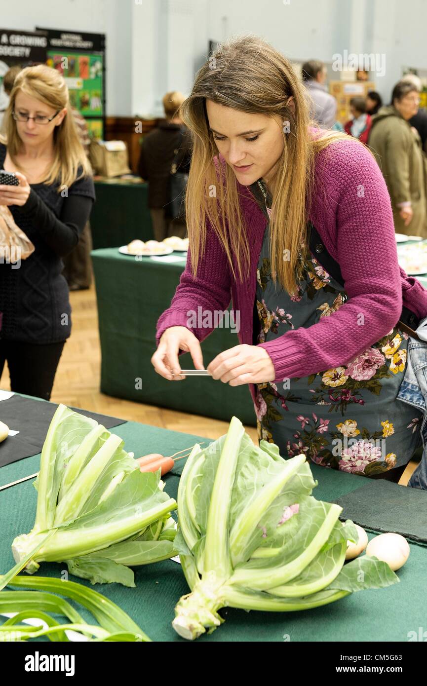 London, Großbritannien: RHS Harvest Festival Show in London am 10.09.2012. Bild von Julie Edwards Stockfoto