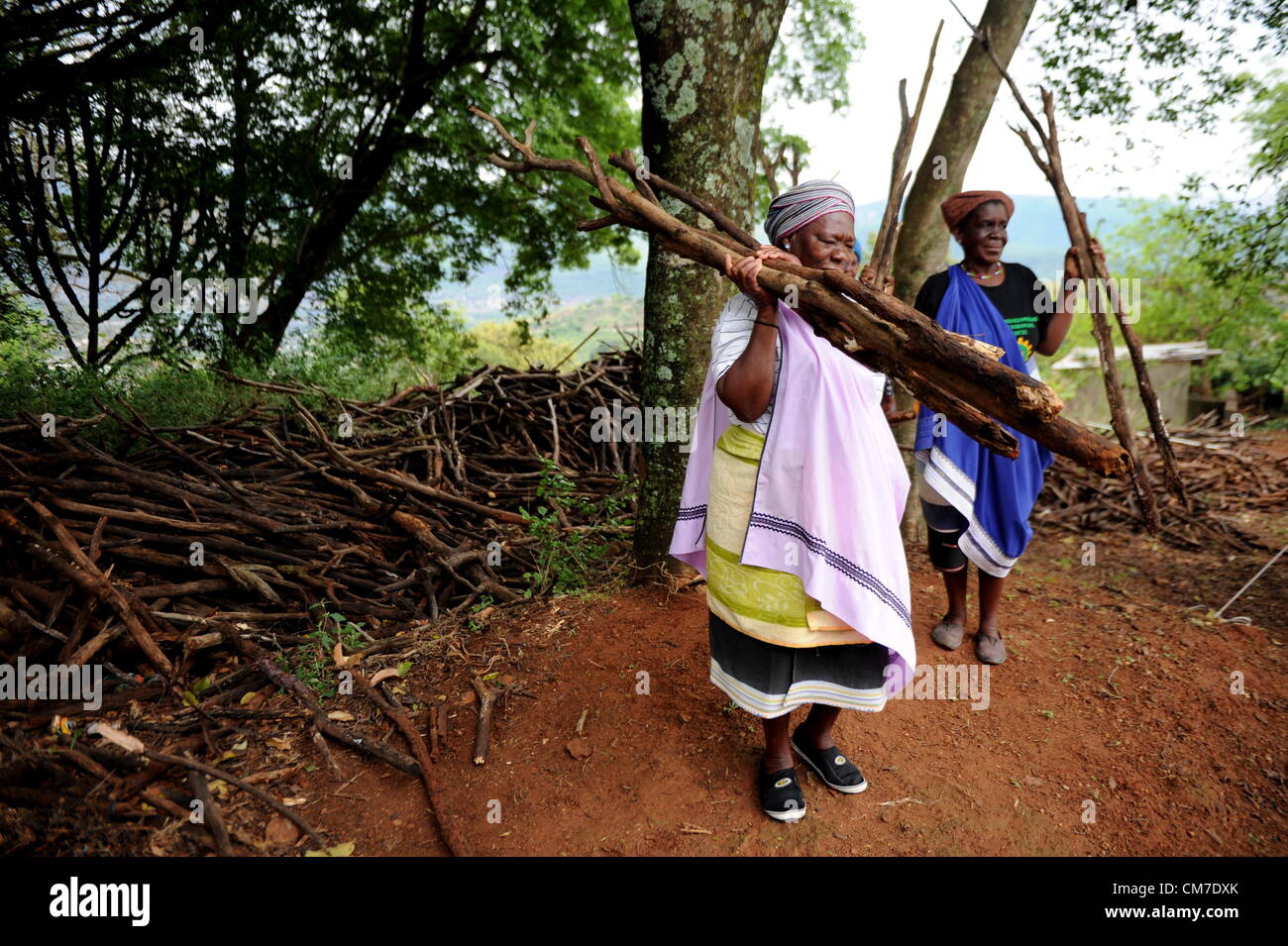 LIMPOPO, Südafrika – Oktober 13: Frauen sammeln Holz als Vorbereitungen erhalten Sie für die jährliche traditionelle Zeremonie im Palast der Königin Modjadji, die Regen für die Pflanzsaison, am 13. Oktober 2012 in das Dorf Khethlakone, in Limpopo, Südafrika zu beschwören. Das Balobedu Volk, einen afrikanischen Stamm der Nord-Sotho-Gruppe haben für die letzten zwei Jahrhunderte dieses Ritual durchführen eingeholt. (Foto von Gallo Images / Stadt Presse / Muntu Vilakazi) Stockfoto