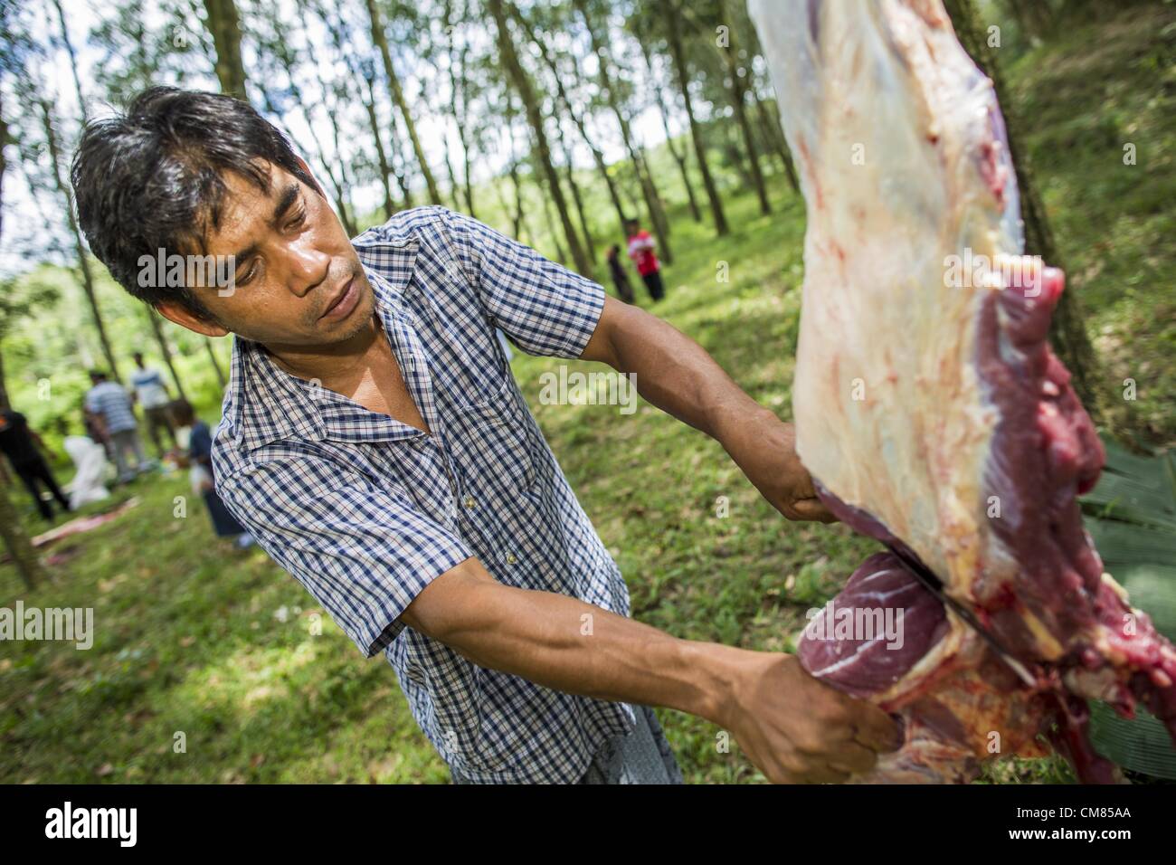 26. Oktober 2012 - Pulasaiz, Narathiwat, Thailand - Thai Muslime butcher und teilen einen Stier, nachdem es in Gottes Namen für den Feiertag von Eid al-Adha in Villiage Pulasaiz, in der Provinz Narathiwat, Thailand geopfert wurde. Die geopferte Kuh wird geschlachtet und in sieben Abschnitte unterteilt. Das Fleisch wird mit Familien von geringerer Mittel, Witwen und Waisen geteilt. Es ist der einzige Tag des Jahres, die einige Leute in der Gemeinschaft, Rindfleisch zu essen (In den muslimischen Gemeinschaften in Thailand, Kühe werden in der Regel geopfert. "In anderen muslimischen Ländern ist es oft Schafe.) © ZUMA Press, Inc. / Alamy Stockfoto