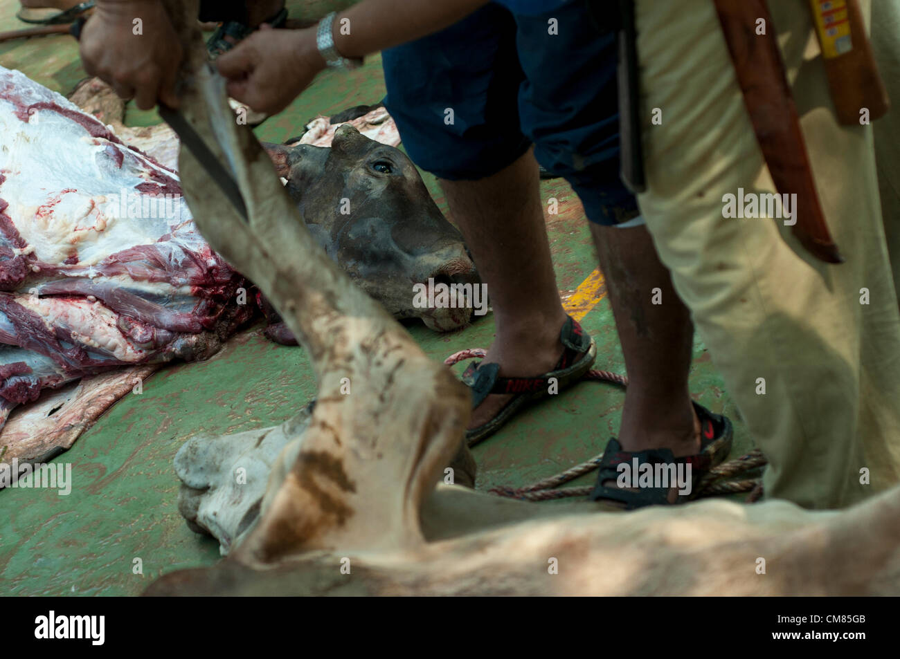 Ein Tier geschlachtet wurden, nachdem während der Eid al-Adha Opferfest in Selangor außerhalb Kuala Lumpur, Malaysia, Montag, 26. November 2012 zu opfern. Stockfoto