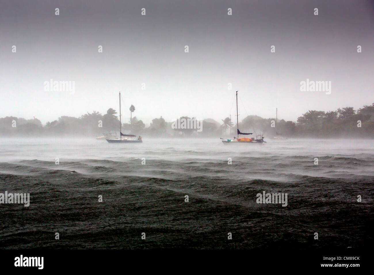 Hurrikan Sandy schweift vorbei an Florida am 25. Oktober 2012, Wellen auch in relativ geschützten Ankerplätzen, wie in diesem Fall in der Nähe von Oleta River State Park außerhalb Miami, Buttern und Misshandlung der Küste mit starkem Wind und Regen Goss. (Foto: Scott London) Stockfoto