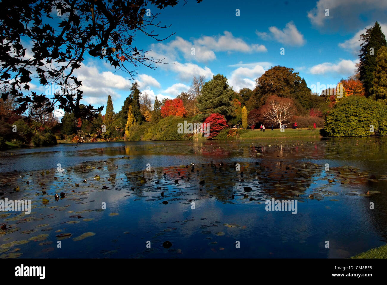 SHEFFIELD PARK GARDEN, Sussex UK Herbst Farbtöne von rot und Gold im späten Oktober Sonnenschein.  Entworfen von Capability Brown im späten 18. Jahrhundert, ist das Anwesen von dem National Trust verwaltet. Stockfoto
