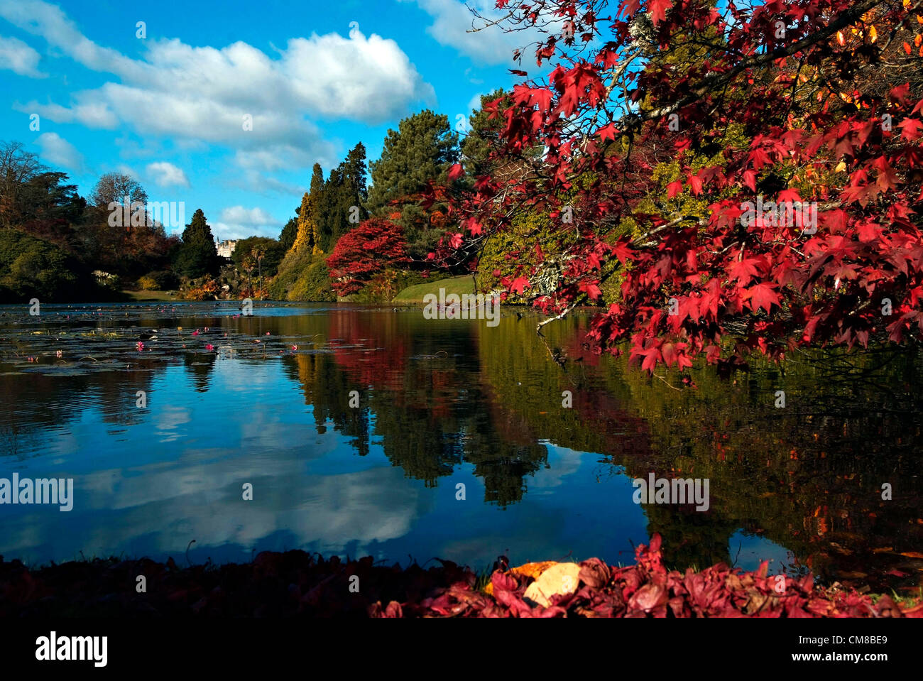 SHEFFIELD PARK GARDEN, Sussex UK Herbst Farbtöne von rot und Gold im späten Oktober Sonnenschein.  Entworfen von Capability Brown im späten 18. Jahrhundert, ist das Anwesen von dem National Trust verwaltet. Stockfoto