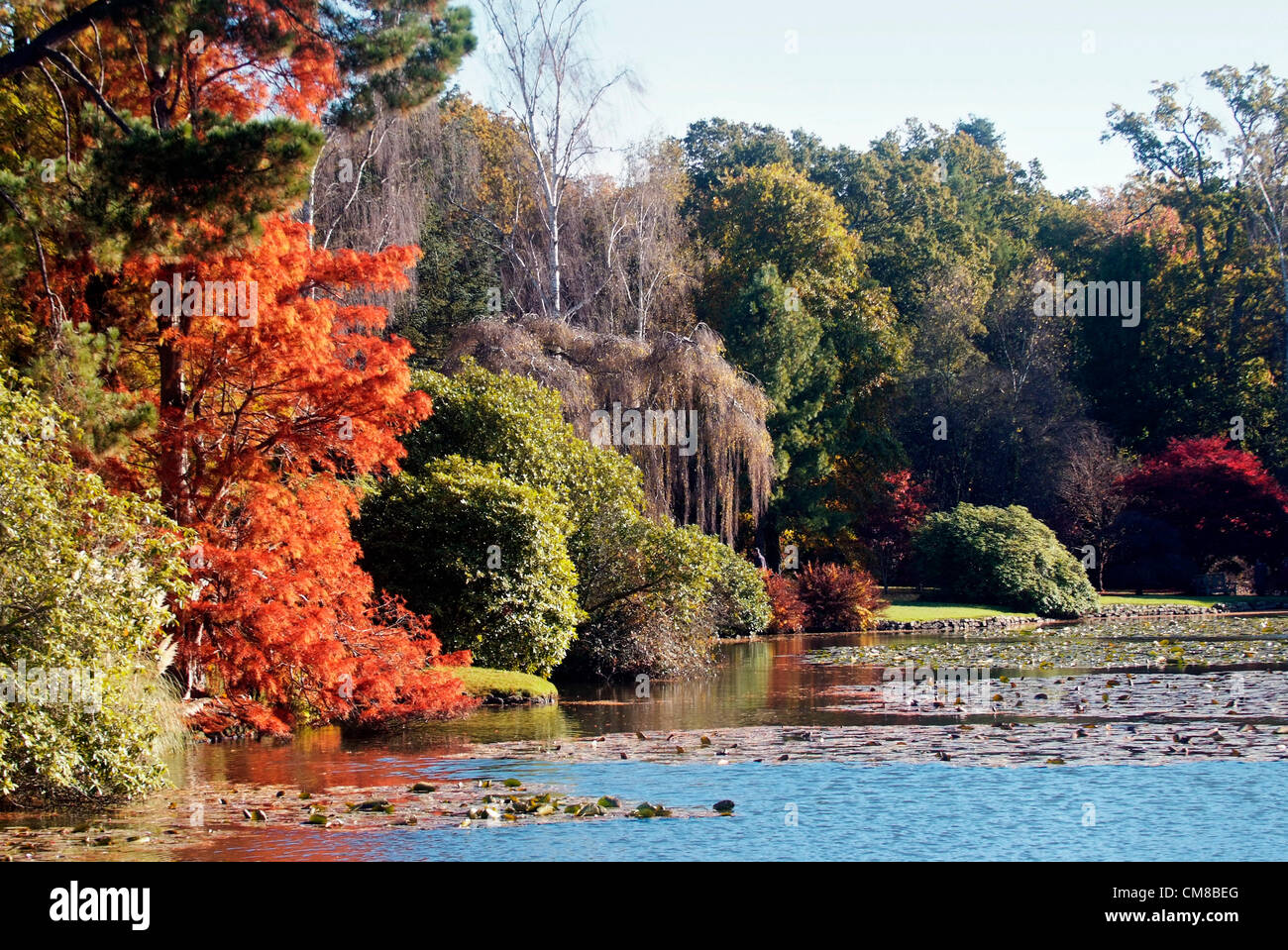 SHEFFIELD PARK GARDEN, Sussex UK Herbst Farbtöne von rot und Gold im späten Oktober Sonnenschein.  Entworfen von Capability Brown im späten 18. Jahrhundert, ist das Anwesen von dem National Trust verwaltet. Stockfoto