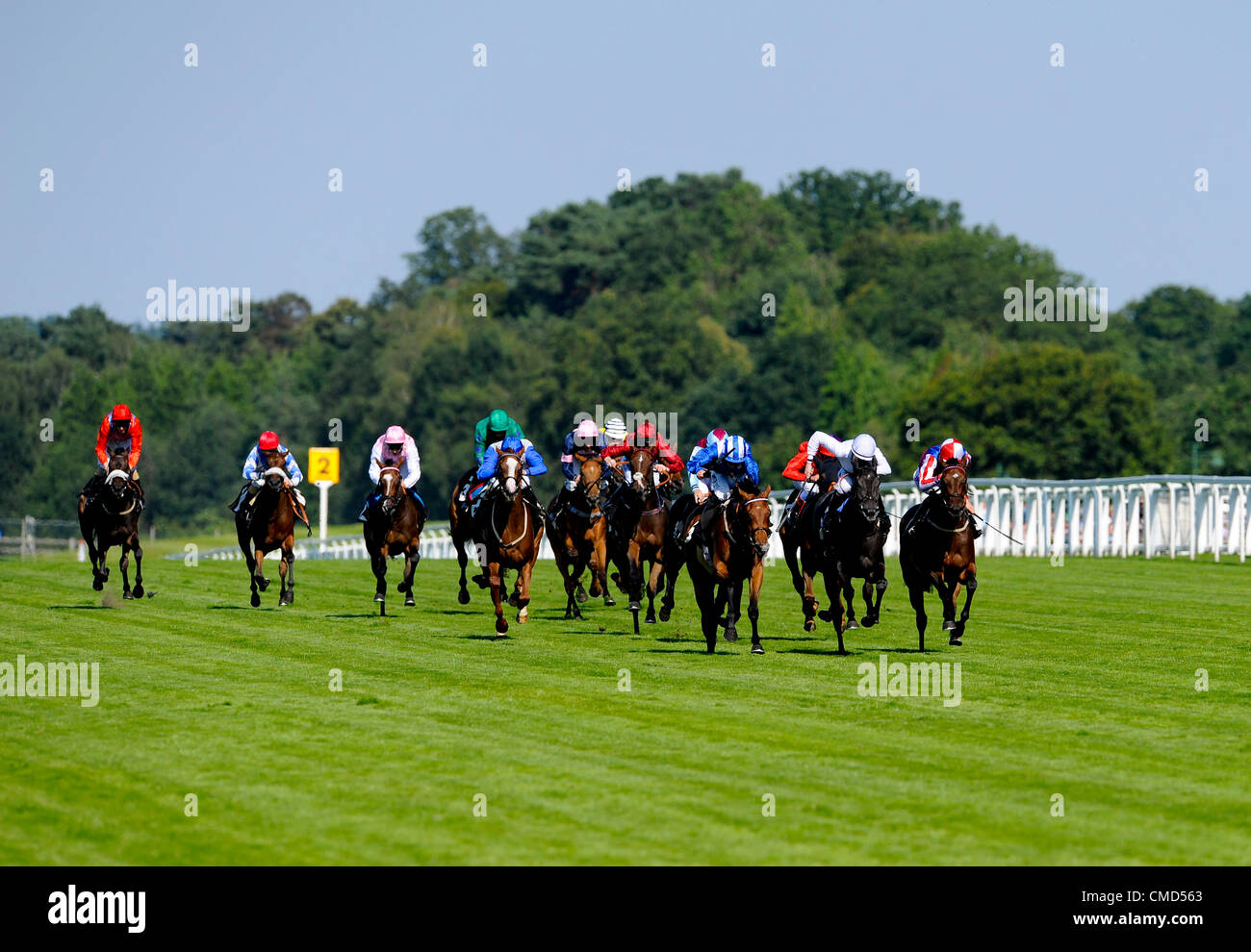 22.07.2012 Ascot, England. (1) Dalkova. Jockey, Richard Hughes. Besitzer: Herr Andrew Tinkler. Trainer: Richard Tinklerin die bessere Preise auf Betfair Mobile Maiden Fillies' Stakes (Klasse) Ascot Betfair Wochenende Featuring Eigenschaft Raceday zu gewinnen. Stockfoto