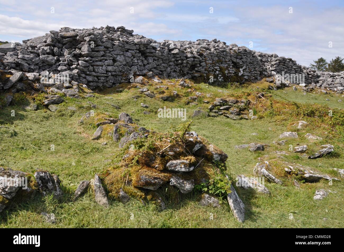 Die Kalksteinlandschaft des Burren-Region des County Clare, entlang der Westküste Irlands ist reich an historischen und archäologischen Stätten, Foto in der Nähe von Kilfenora, 31. Mai 2013. Eines davon ist das außergewöhnlich gut erhaltene antike Caherconnell Stone Fort (Caherconnell Cashel). Es wurde mehr als 1000 Jahre vor und machte aus über 1 Million Kilo aus Stein gebaut. Das Fort ist wissenschaftlich ausgegraben und für den Tourismus entwickelt. Foto: Frank-Baumgart Stockfoto