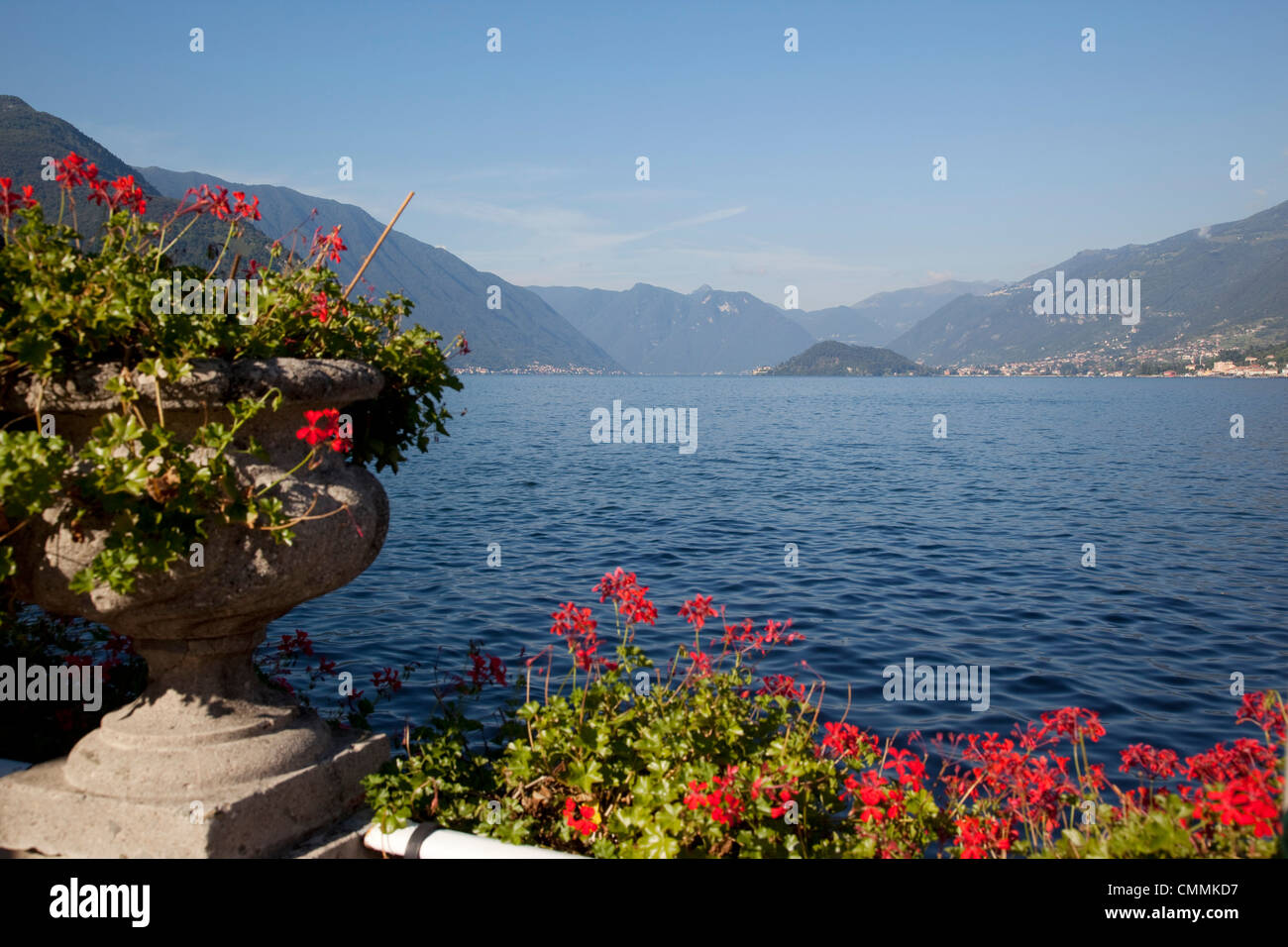 Rote Geranien und See, Bellagio, Comer See, Lombardei, italienische Seen, Italien, Europa Stockfoto